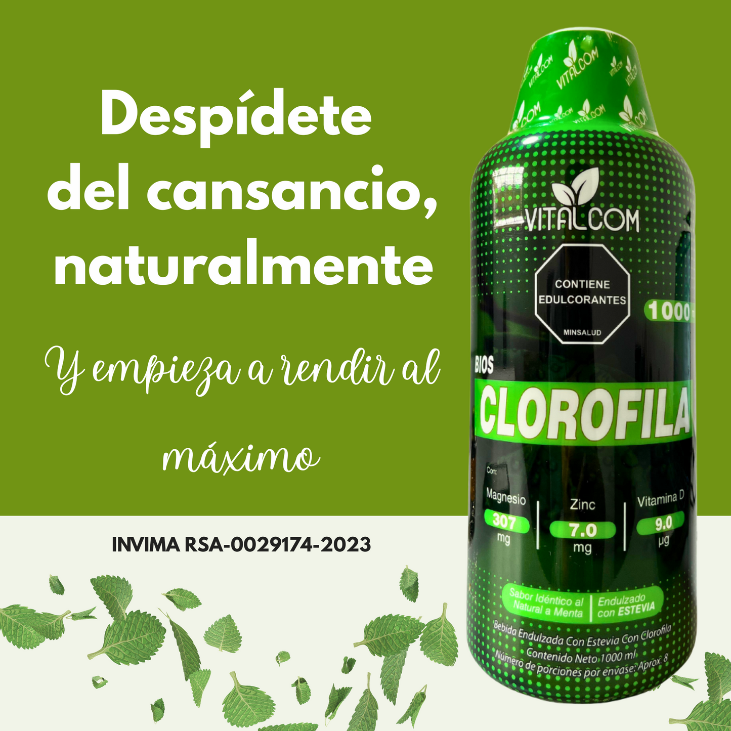 CLOROFILA